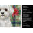 Maltese Christmas PoinsettIas Kitchen Towel-2080584094