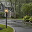 Seeded Lantern Head-52682216