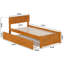 Solid Wood Storage Bed-96140348