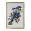 Audubon Blue Jay I Print