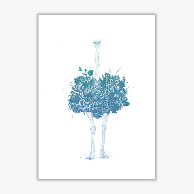 Floral Ostrich by Mercedes Lopes Charro - Print