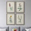 Traditional Botanical I - Ensemble de 4 reproductions de cadres photo sur toile-32851617-32851616