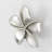 Plumeria medium knob-39948783-104672779-126755984