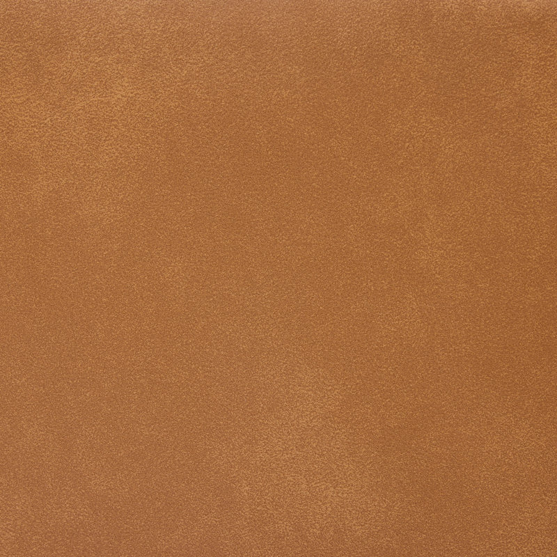 Cornouiller Faux Leather Living Room Accent Chair(Set Of 2), Brown