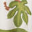 Debarata Red/Green/White Tablecloth - Round-86865953