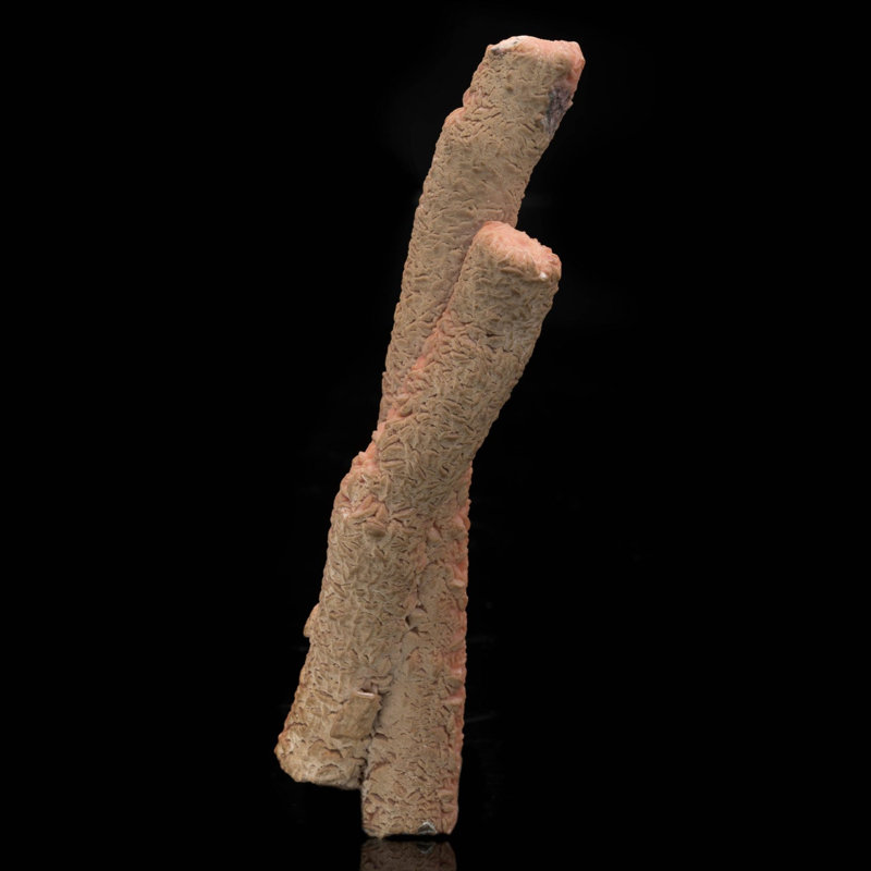 Stalactites de rhodochrosite d'Argentine / 7-7 / 8 po de long