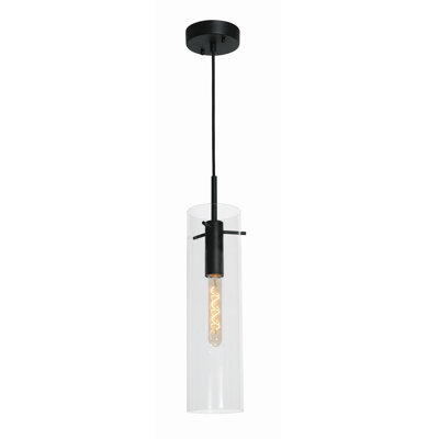 Guglielmo 1-Light Pendant - Clear Glass Shade