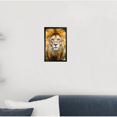 African Lion Head Shot Male Lion Mane Lion Posters For Wall Lion Pictures Wall Decor Picture Of Lions African Travel Poster Safari Picture Lions Home -  Red Barrel Studio®, 037348586B824F2CBD95FAD876022EEA