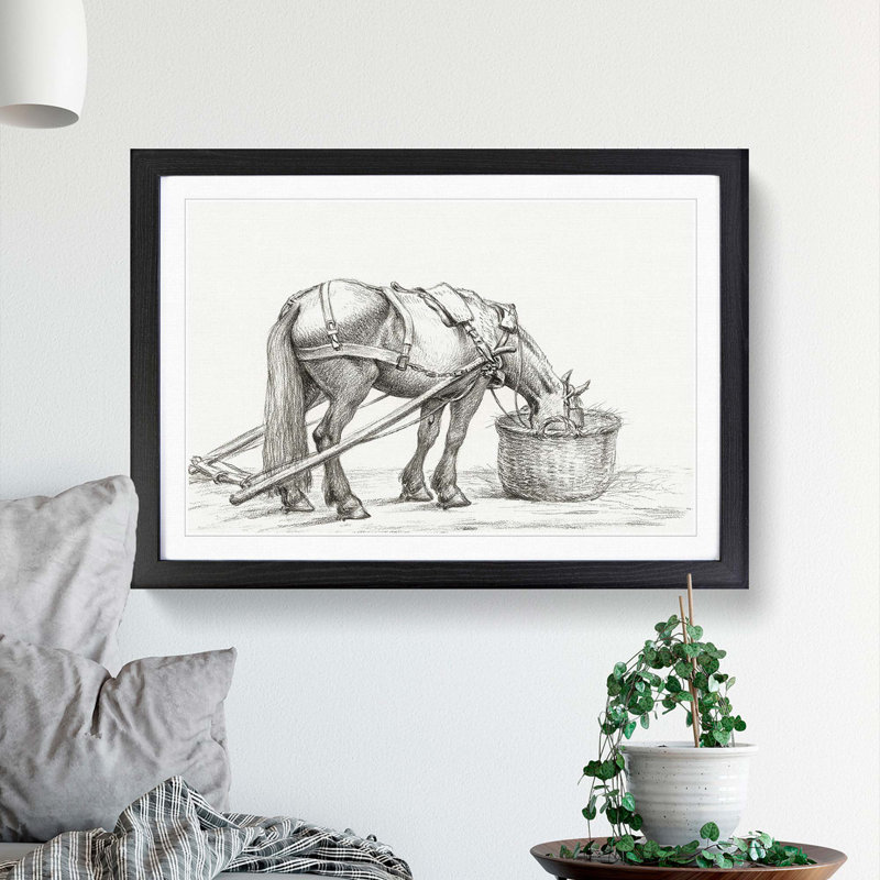Horse Drinking by Jean Bernard - Picture Frame Drawing Print, 48cm H x 65cm W x 2cm D, Black Framed