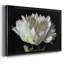 " WHITE PEONY "-1554593010-1554593009