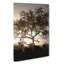 Leopard Siesta - Wrapped Canvas-55365849