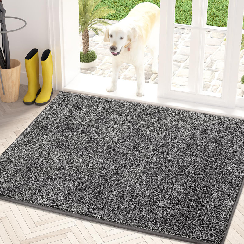 Doormat Non-Slip Machine Washable Entrance Rug, Dog Doormat, Super Absorbent Welcome Mat For Front Door, Back Door, Entryway, Muddy Wet Shoes And Paws