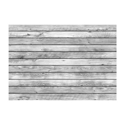Leaden Dawn Semi-Gloss Paste the Wall Mural