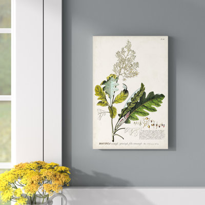 «Allurant Botanical I», reproduction sur toile tendue