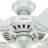 52" Studio Series 5 - Blade Standard Ceiling Fan with Pull Chain and Light Kit Included