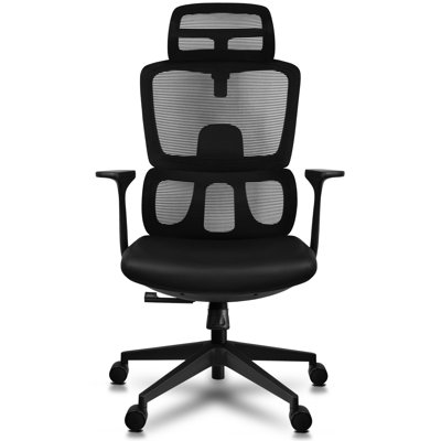 Liora Ergonomic Mesh Office Chair with Adjustable Headrest, Lumbar Support, and Breathable Backrest