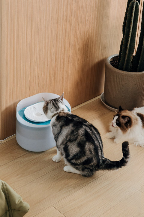 Shop Capsule Fountain