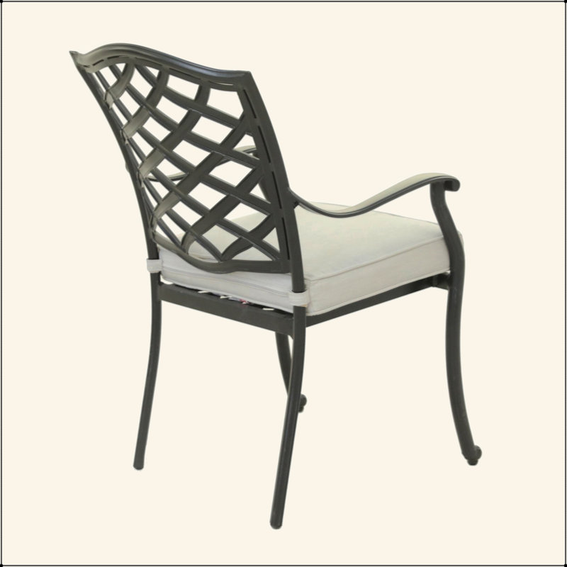 Chaise de salle à manger avec accoudoirs, argent, ensemble de 2
