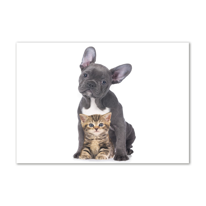 Dog And Cat - Wrapped Canvas Print