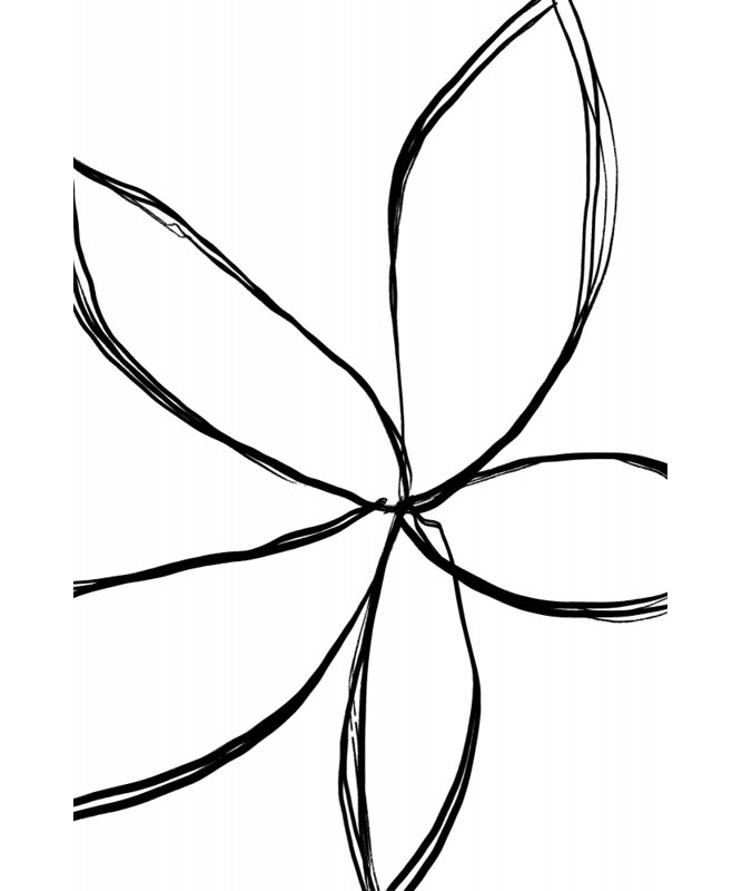 Wrapped Canvas Print, 50.8 cm H x 76.2 cm W