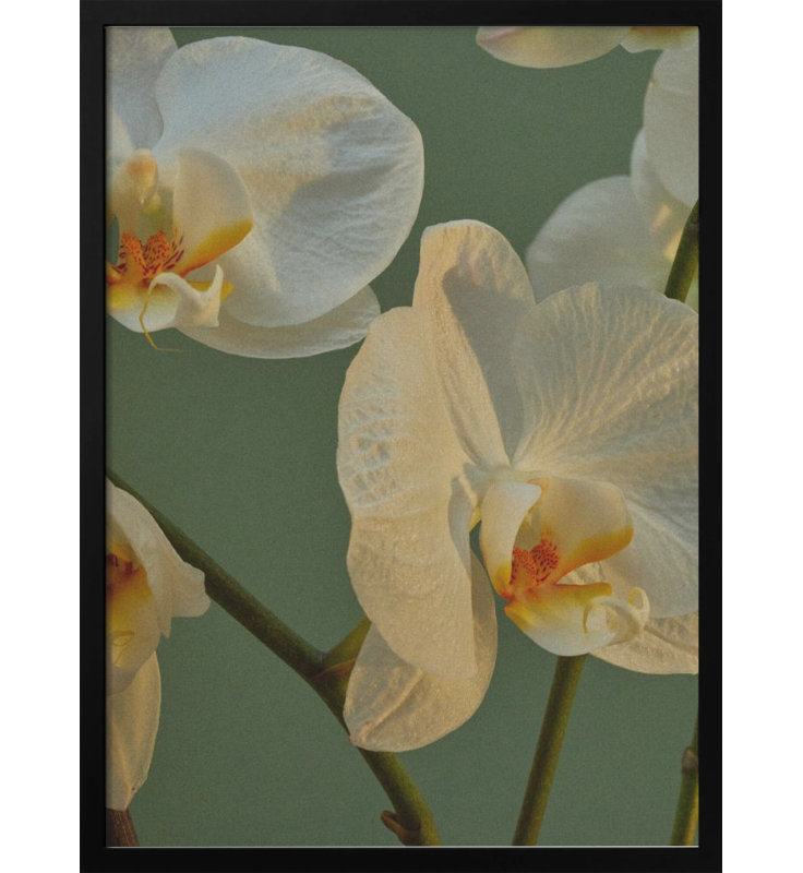 "Floral Haven", art mural texturé encadré, Noir, H 14 po x l 10 po