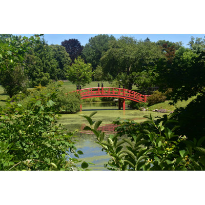 " Japanese Garden " by Demetri2K