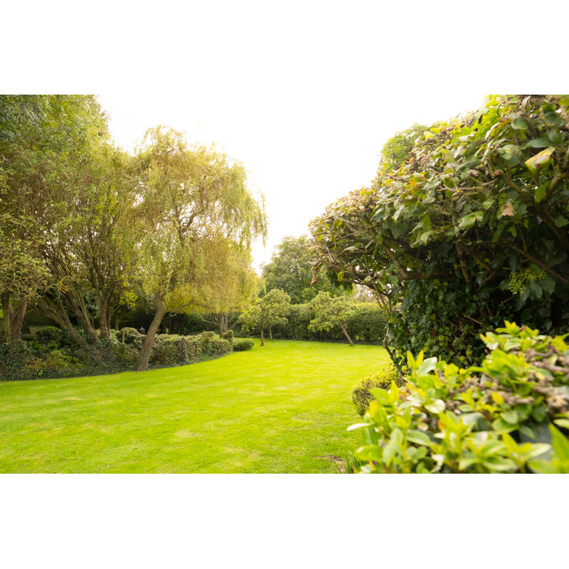 Well-Maintained Lawn and Private Gardens - Wrapped Canvas Photograph, 20cm H x 30cm W