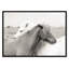 «Melanie Islandais Meadow Horses» par Danita Delimont - photographie encadrée sur papier-59846100-59846097