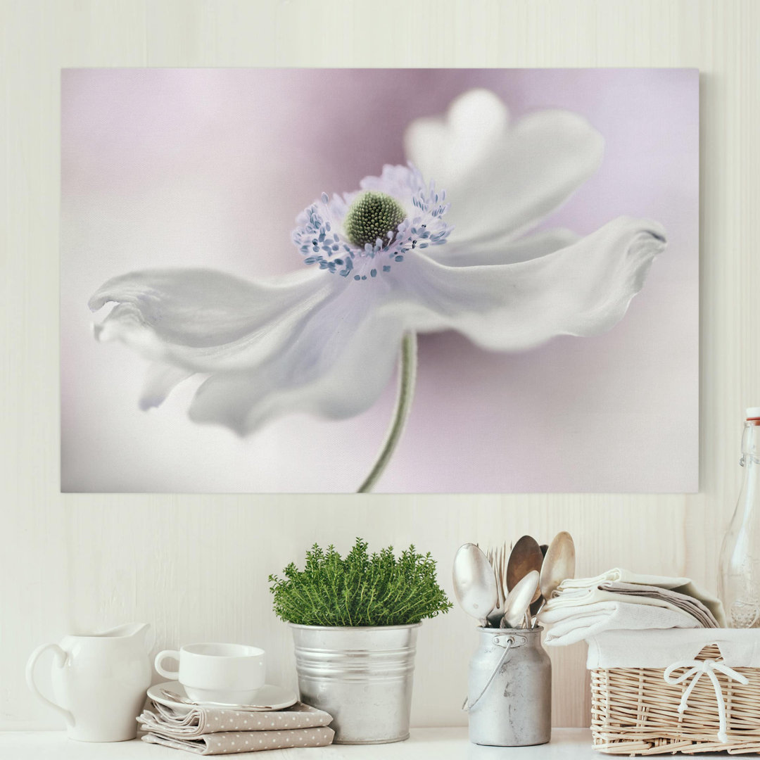 Leinwandbild Anemonenbrise