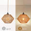 Luminaire suspendu Plug Boho Farmhouse 16FT