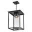 Hinkley Coen Hanging Lantern-519126406