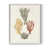 White Single Picture Framed