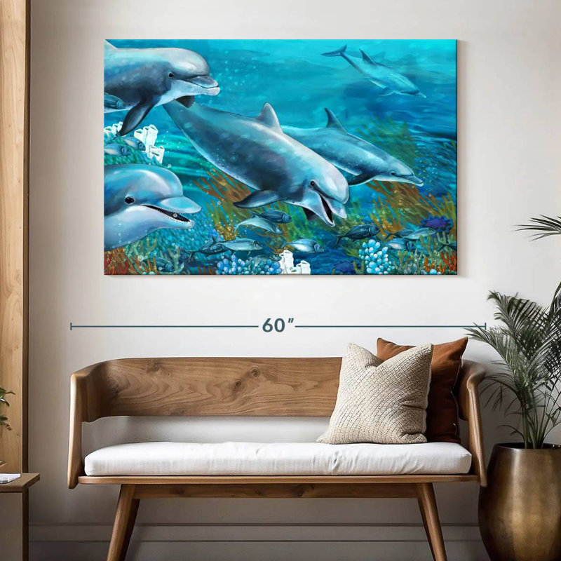 Dolphin Adventure