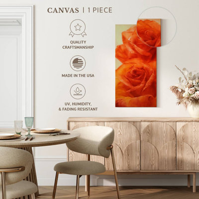 Roses classiques