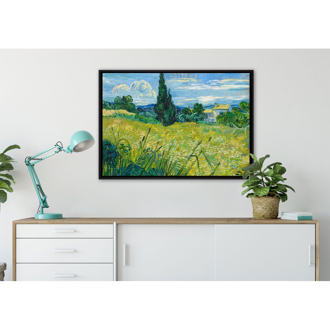 Gerahmtes Leinwandbild Green Wheat Field with Cypresses von Vincent Van Gogh