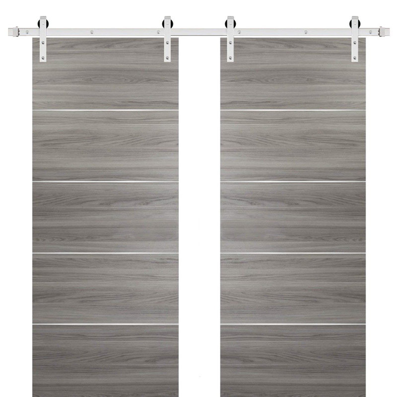 Portes de grange coulissantes doubles avec quincaillerie | Planum 0020 | Ensemble de 13 cintres robustes | Porte de salle de bain de chambre à coucher moderne à panneau solide - Rail argenté