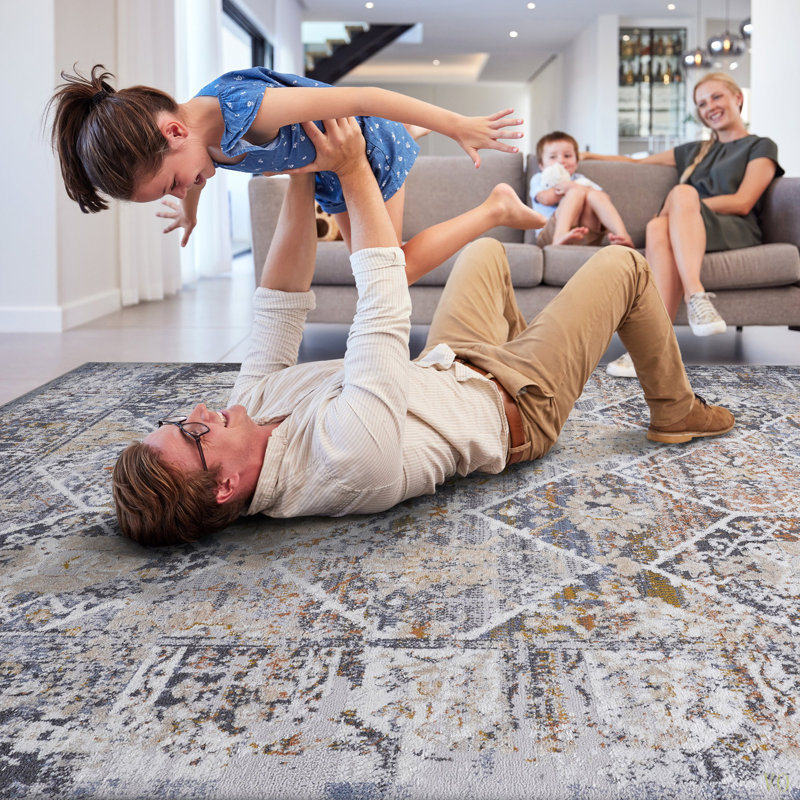 6X9 Traditional Area Rug Stain Resistant, Non-Shedding, Friendly For Living Room, Bedroom, Dining Room And High-Traffic Areas