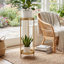 Support pour plante d'intérieur en métal à 2 niveaux pour plantes d'intérieur-326173400