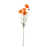 Orange est en rupture de stock
