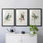 «Spring Song Blue Bird» - ensemble de photos encadrées-384428559-384428552
