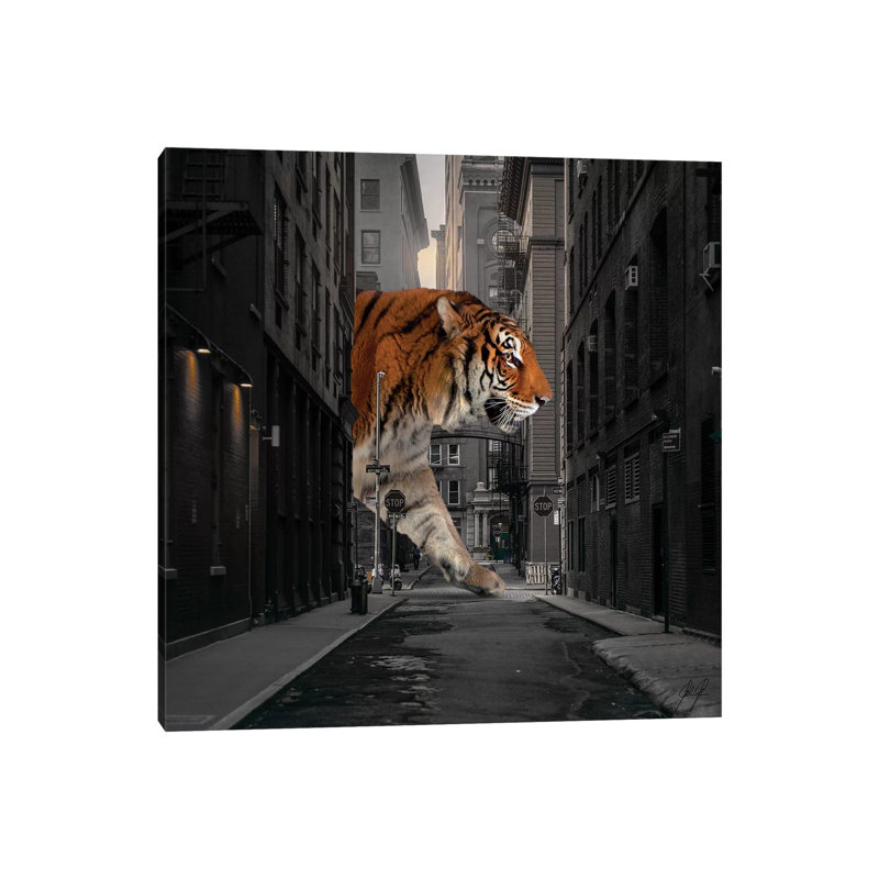 Tiger In NY I by Kathrin Federer - Print on Canvas, Wrapped Canvas, 45.72cm H x 45.72cm W x 3.81cm D