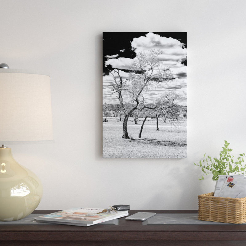 « isard south africa series dead tree », reproduction de photo sur toile tendue, H 24 po x l 16 po x P 1 po, Blanc