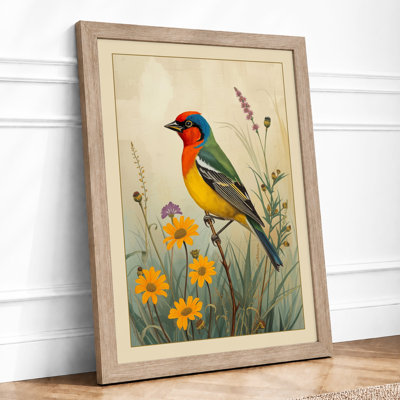 Robin Among Wildflowers Botanical - Framed Print
