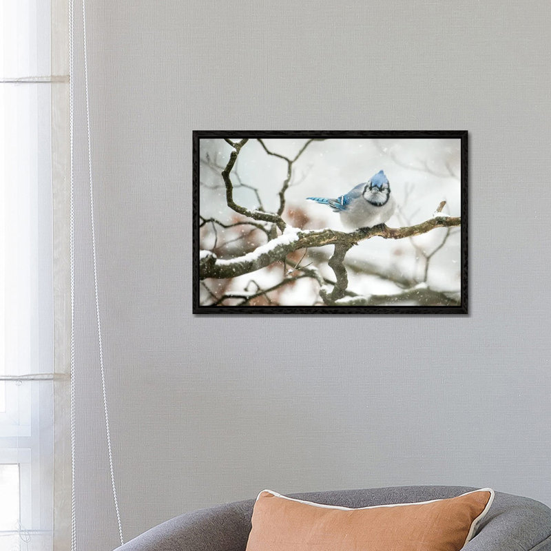 Cold Jay by David Gardiner - Print on Canvas, Black Framed, 66.04 cm H x 45.72 cm W