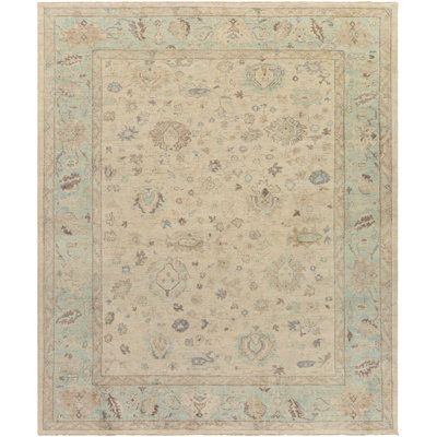 Daucourt Wool Oriental Area Rug