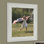 White Matte Picture Frame