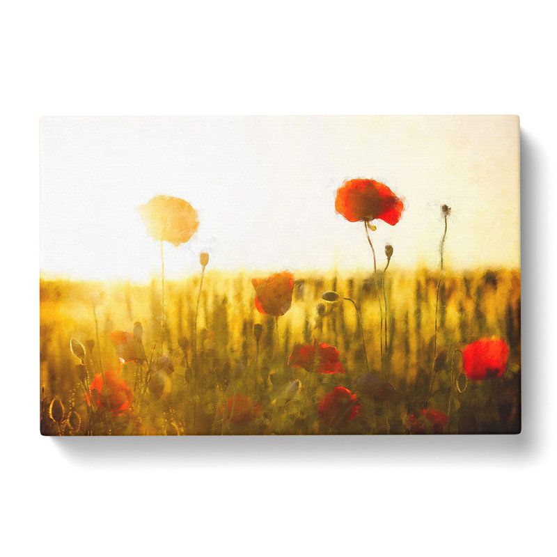 Field Of Poppies Vol.5 - Wrapped Canvas, 35cm H x 50cm W x 3cm D