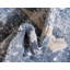 Tapis transitionnel de couleur tropicale Dunmyer-1418782307