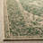 Danya Oriental Green/Cream Indoor/Outdoor Area Rug-616149084