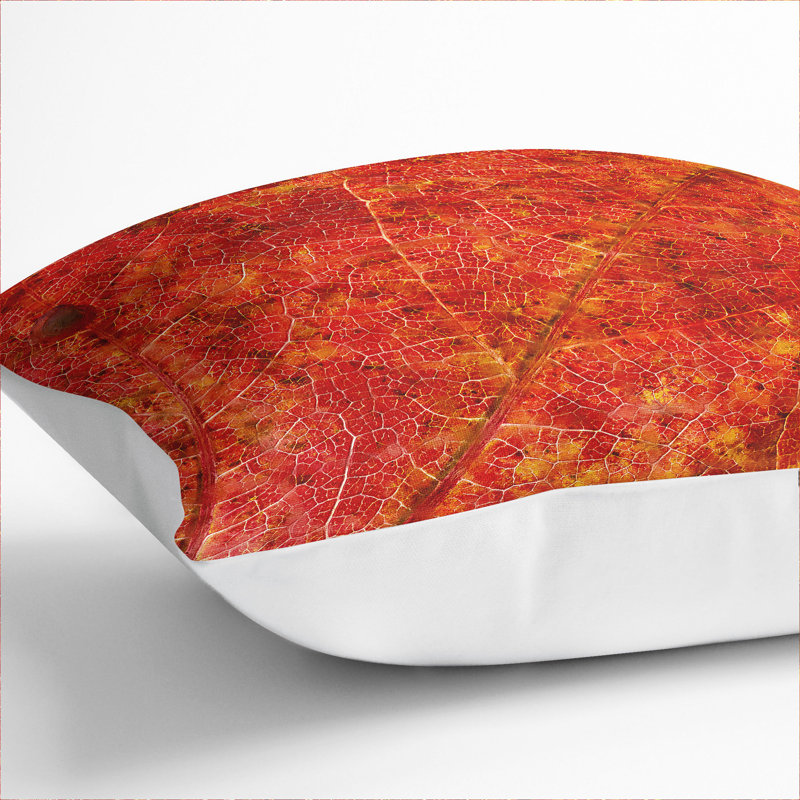 Autumn Leaf Vol.2 Painting Scatter Cushion, White, 40cm H x 40cm W x 15cm D